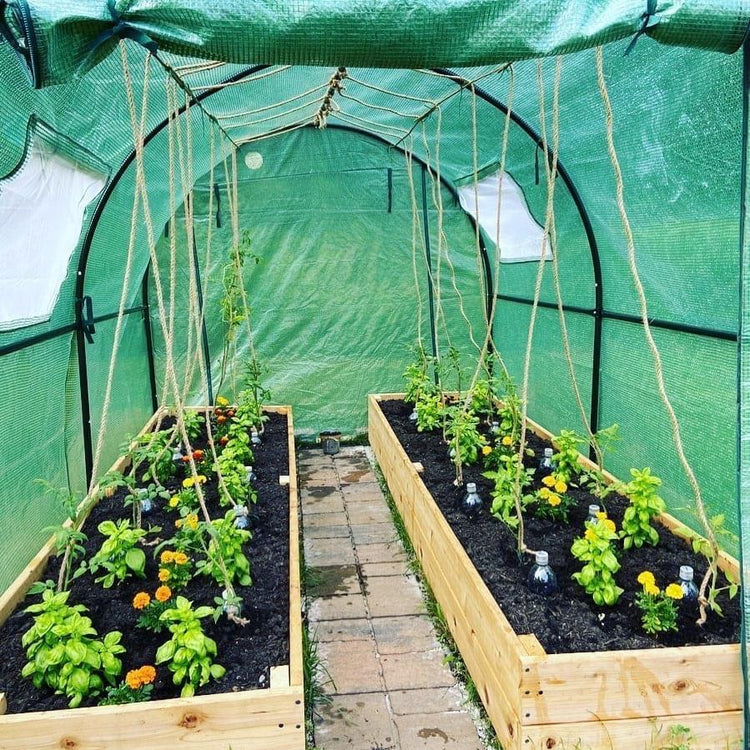 Invernaderos Medianos Armables de Jardín